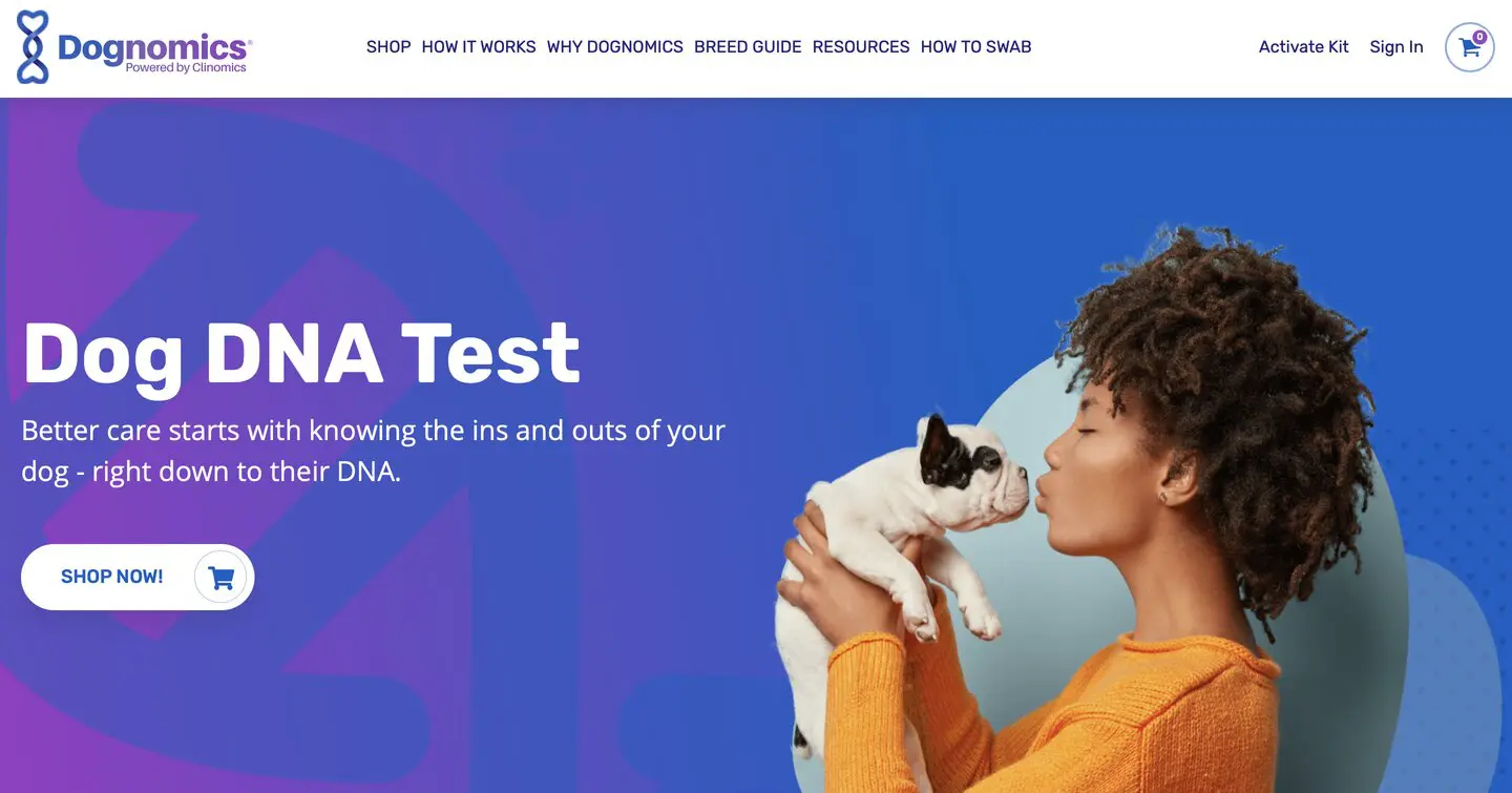 ვებ-დიზაინის 9 შეცდომა, რომელიც აუცილებლად უნდა გამოასწოროთ - web design mistakes good example dognomics.jpg